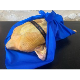 Canard de Duclair